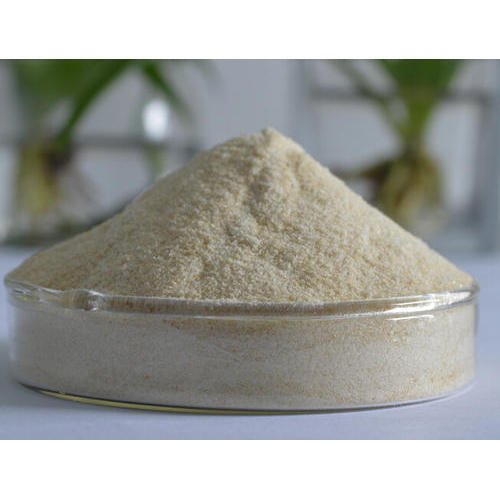 Powder Nattokinase Enzyme, Packaging Size: 1 kg