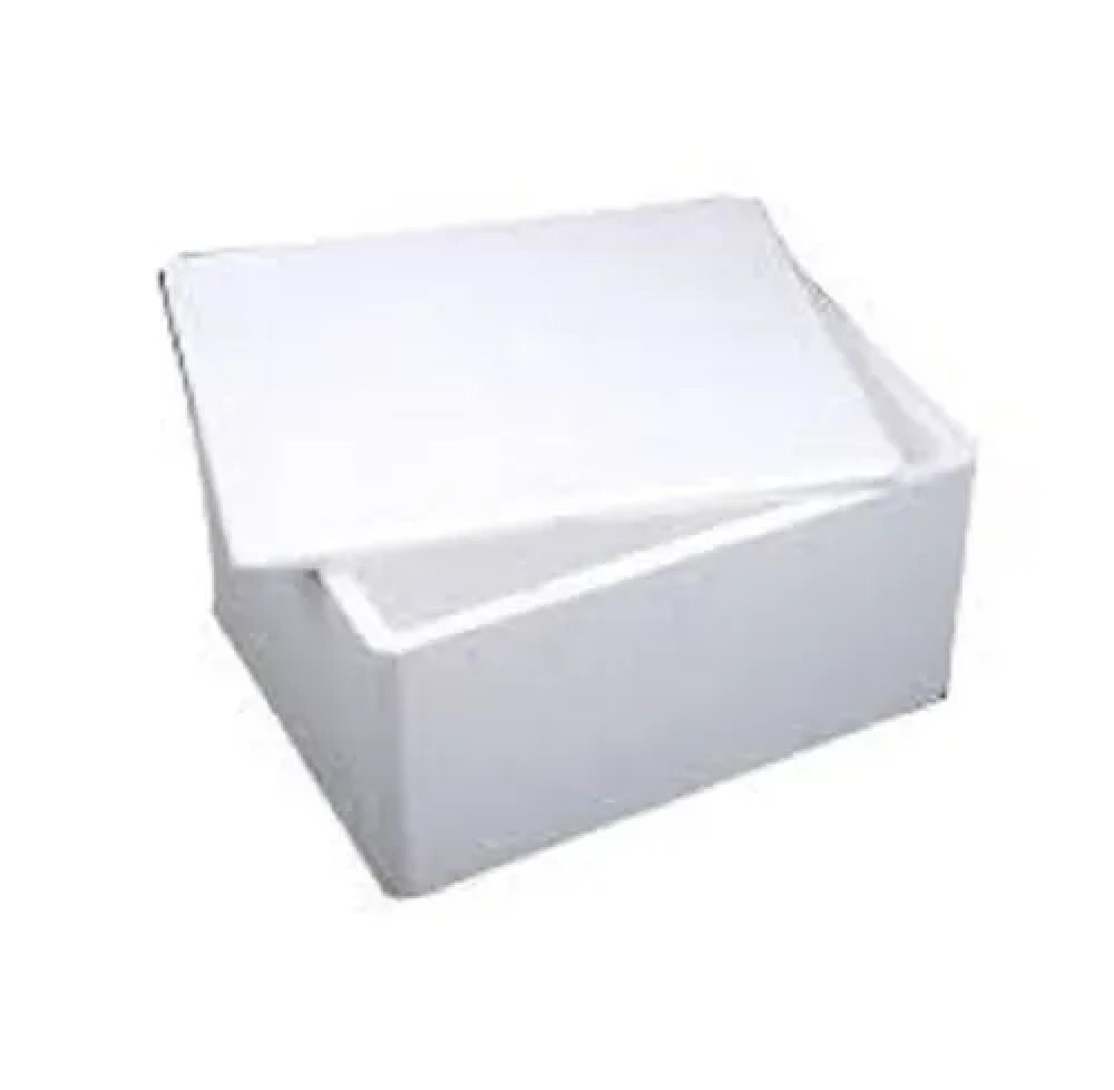 White Thermocol EPS Blood Container Box, For Laboratory, Capacity: 10 L