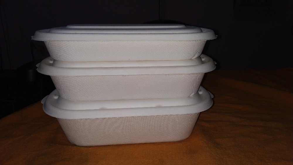 Paper Rectangular Bagasse Container, Box Capacity: 1-5 Kg