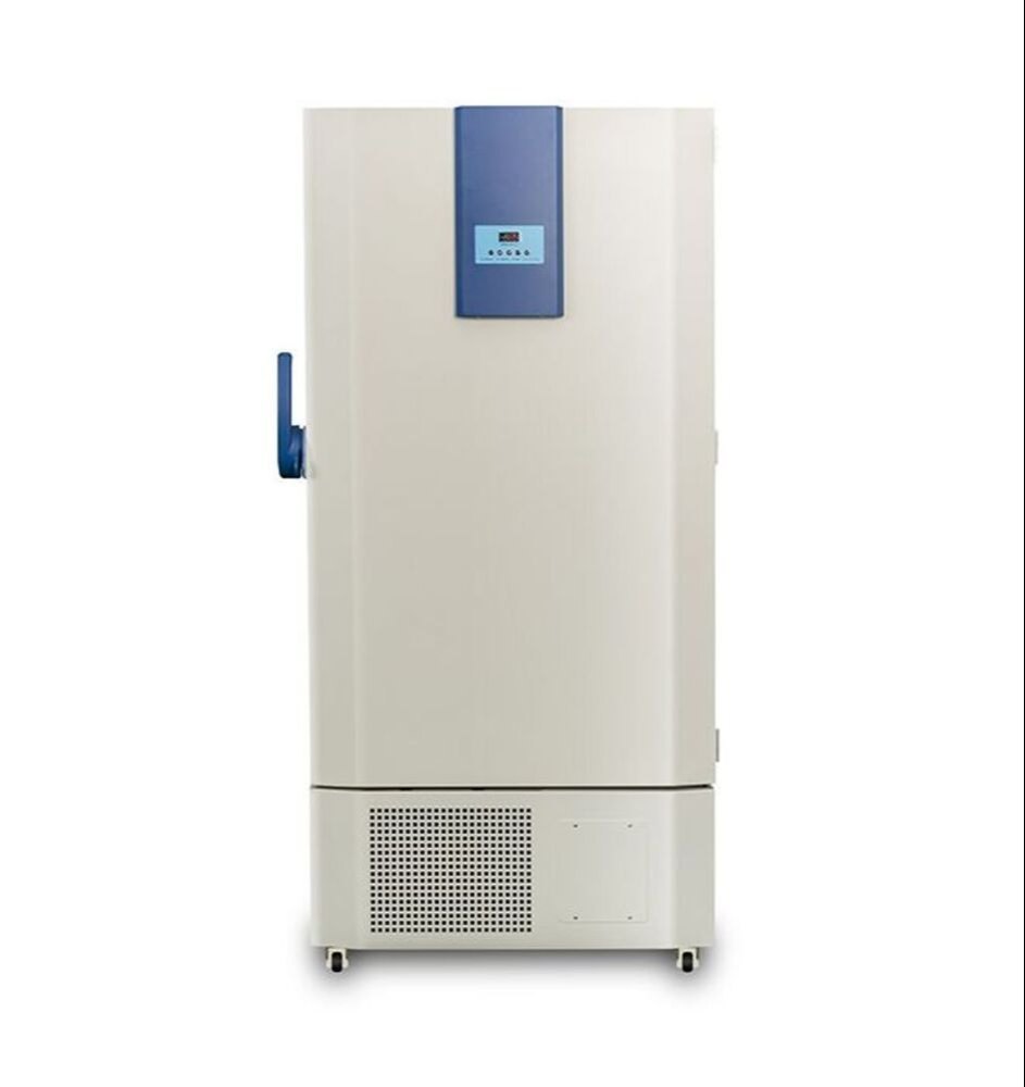 Stainless Steel 300 L Ultra Low Deep Freezer minus 20C To Minus 80C, Electric, Single Door