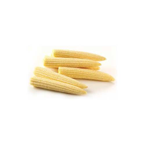 Baby Corn