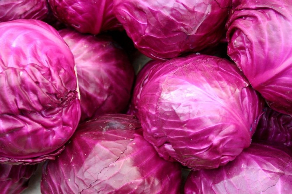 Broccoli A Grade Red Cabbage, Packaging Type: Box, Packaging Size: 20 Kg