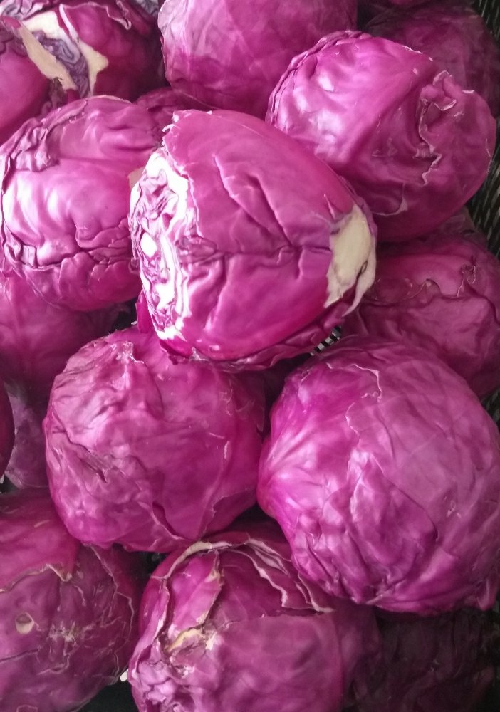 Red Cabbage, Packaging Type: Plastic Bag, Packaging Size: 20 Kg