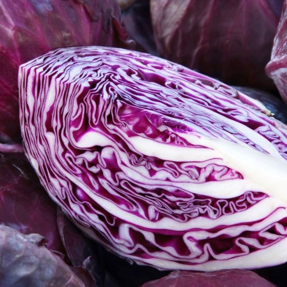 A Grade Fresh Red Cabbage, Packaging Size: 5 Kg