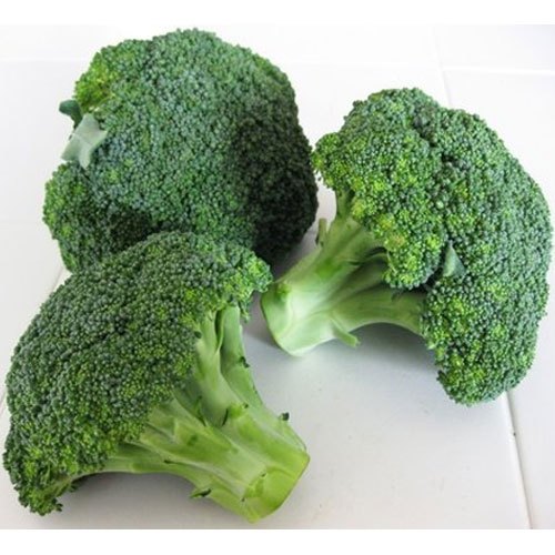 A Grade Fresh Organic Broccoli, Packaging Type: Carton