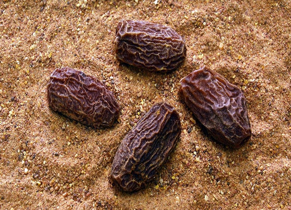 Saanjh Brown Dehydrated Dates Powder, Packaging: Plastic Bag Or Polythene img