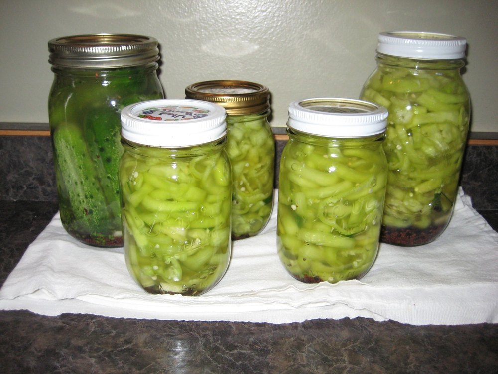 Fermented Cucumber in Drums