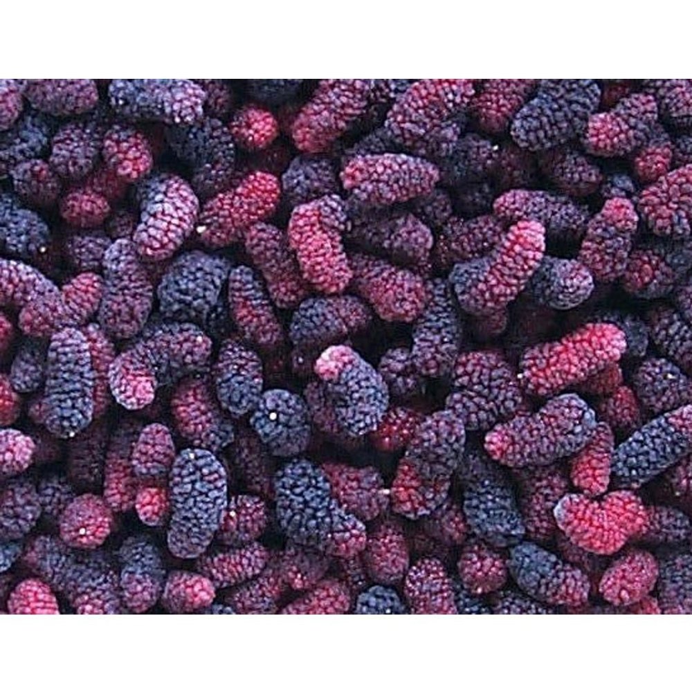 Natural Frozen Blueberry, Packaging Size: 1 kg, Packaging Type: Packet img