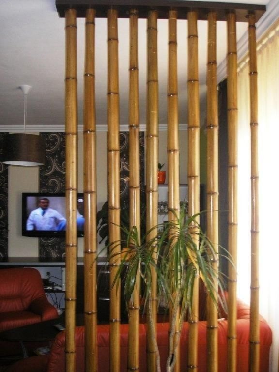 Bamboo Partition