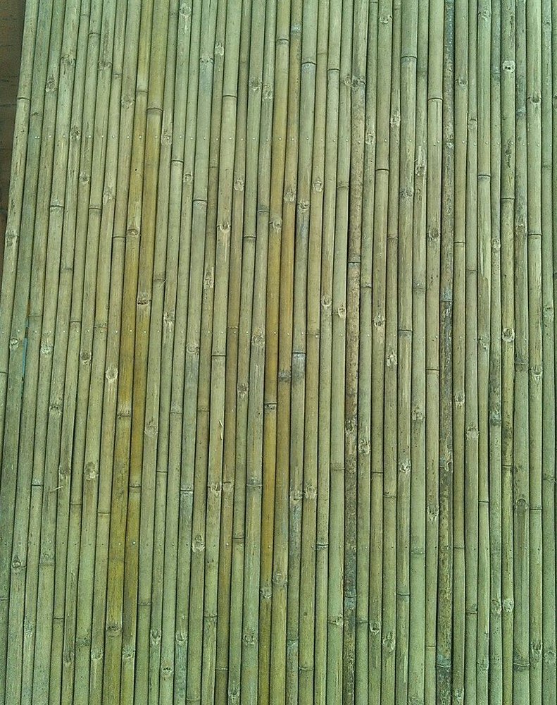 Bamboo Partition