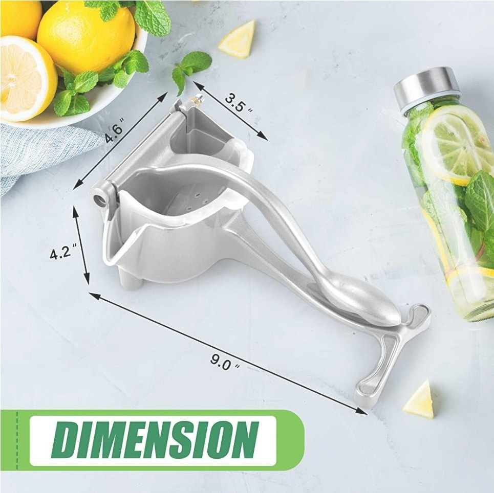 Stainless Steel Fruit Press Juicer, For Kitchen