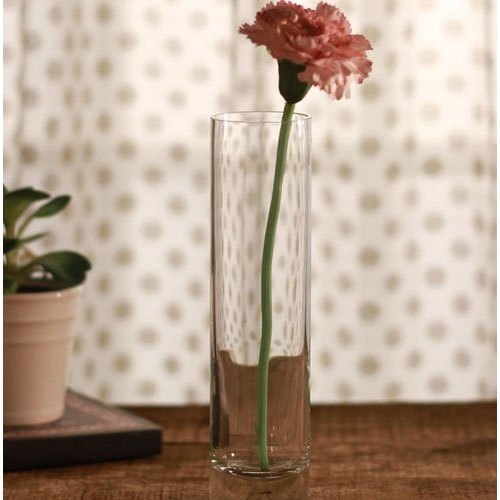 Transparent Glass Flower Pot