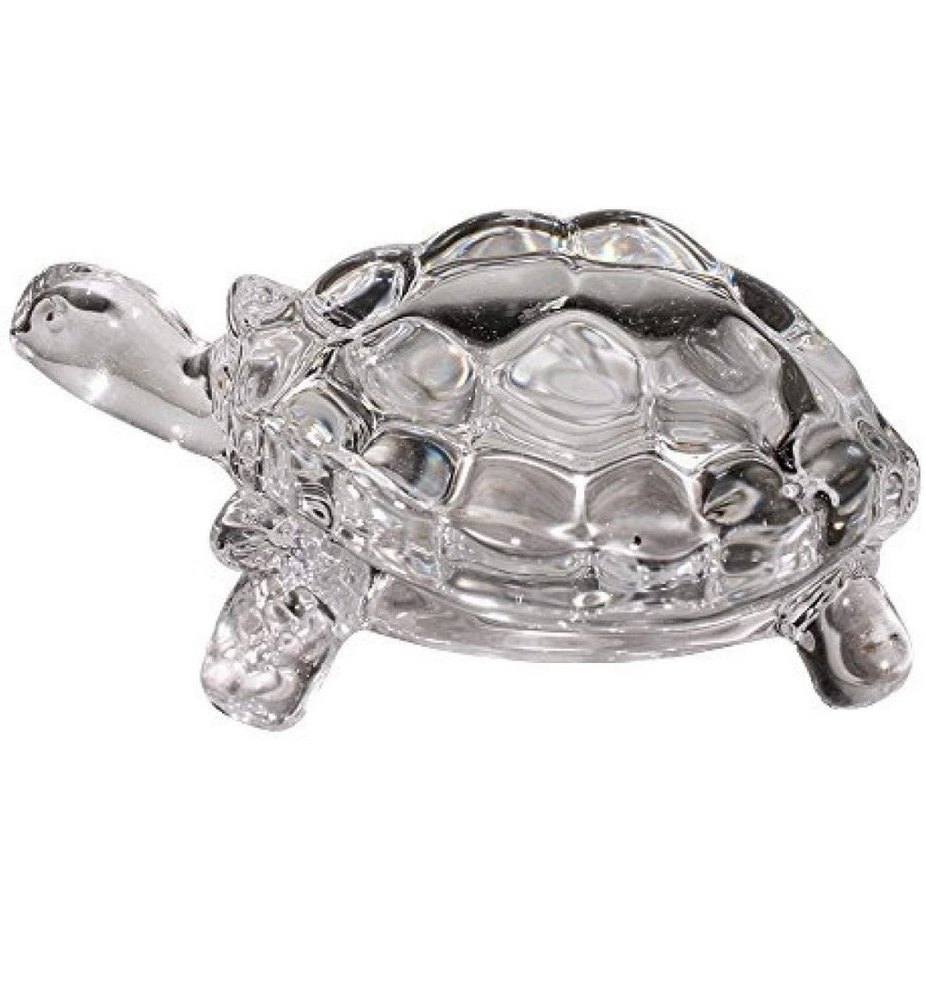 Glass Turtle