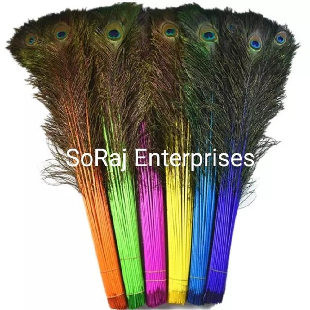 Peacock Feathers