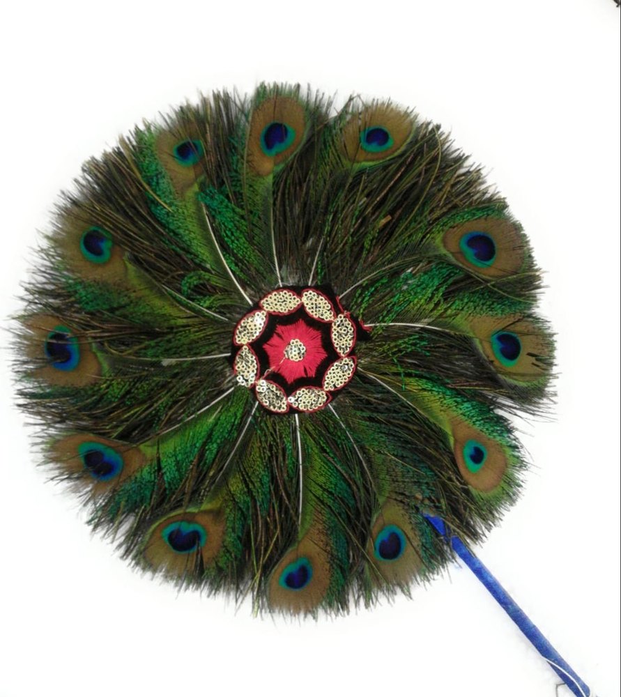 Green Natural Peacock Feather img