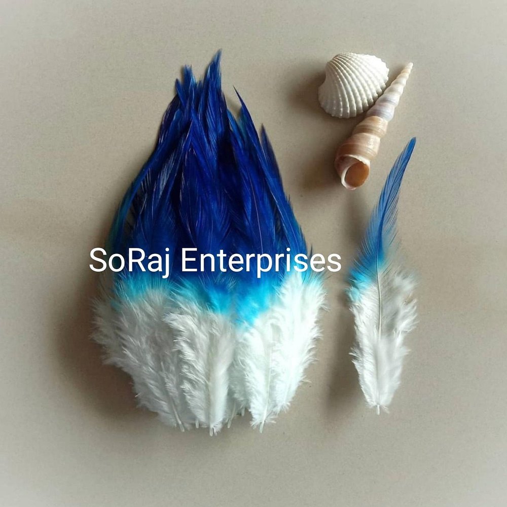 Blue Shades - Long Pointed Natural Feathers, Size: 6-8 Inch img