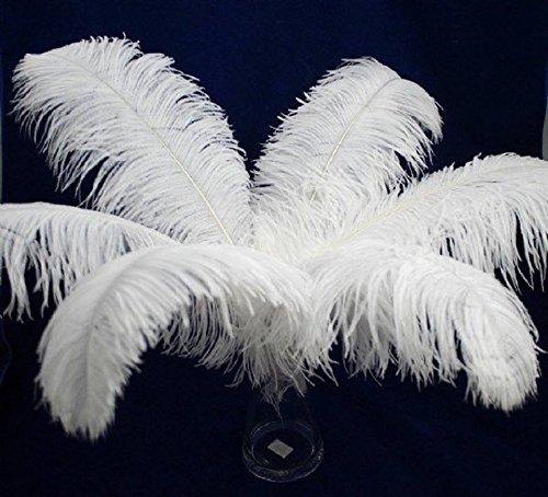 Ostrich Feather img