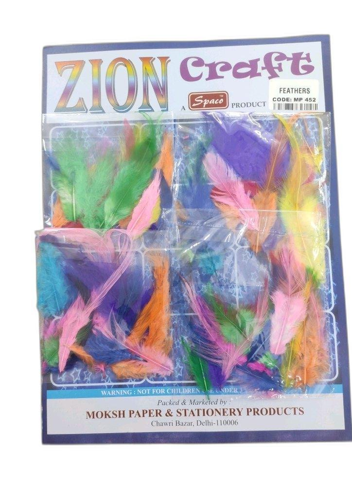 Plastic Zion Craft Feather, Size/Dimension: 2 Inch(length)