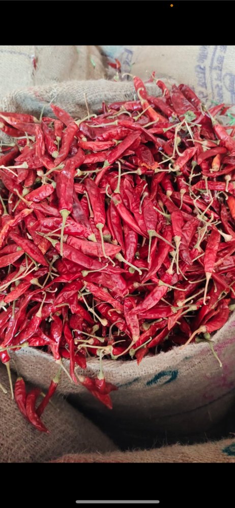 Guntur S334 Dry Red Teja Chilli