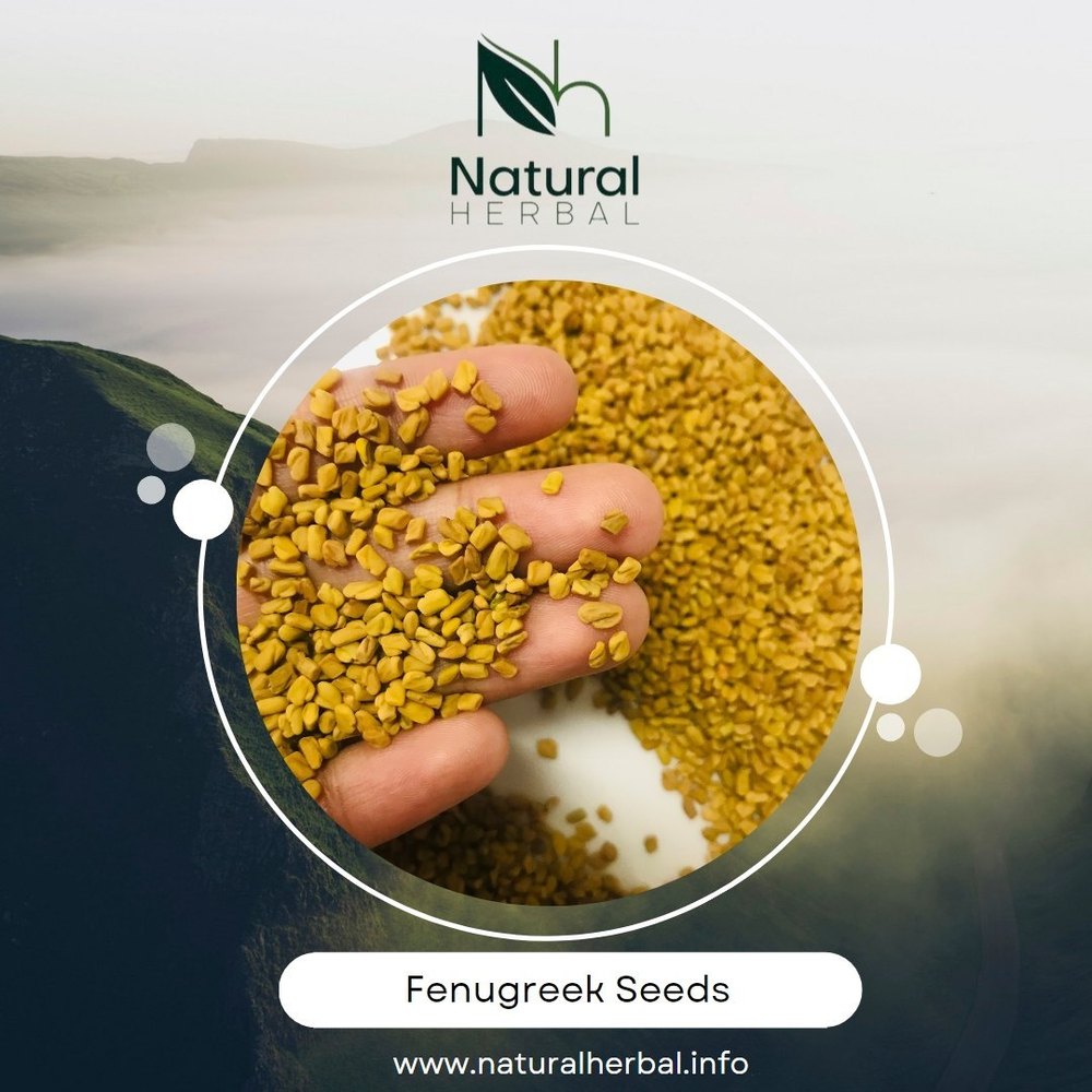 Natural Fenugreek Seeds (Methi Dana) img