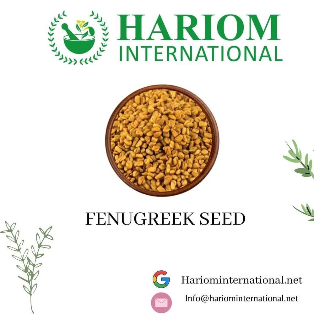 Yellow Dried Fenugreek Seeds, Packaging Type: Loose