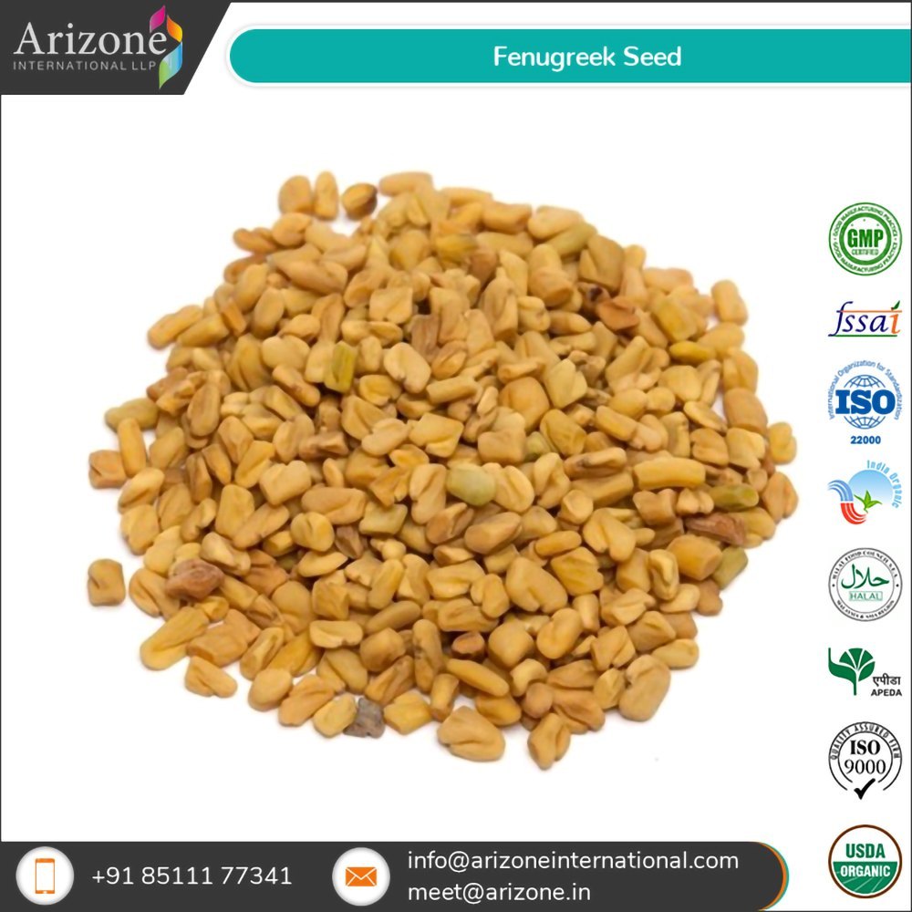 Arizone Methi Fenugreek Seed, Packaging Type: PP Liner Bag img