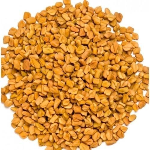 from farmer yellow Fenugreek Seeds 1 Kg, Packaging Type: Gunny Bag img