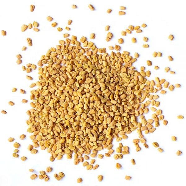 Yellow New Crop Fenugreek Seed, Packaging Type: PP Bags, Packaging Size: 25, 50 Kg
