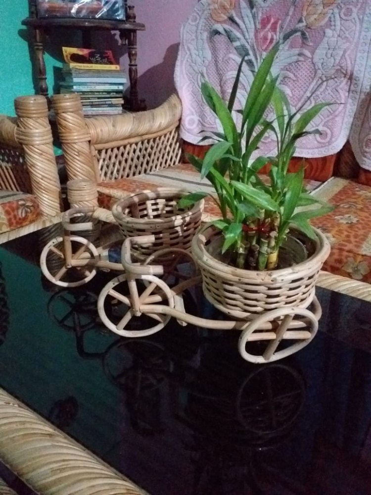 Bamboo Tricycle Flower Basket