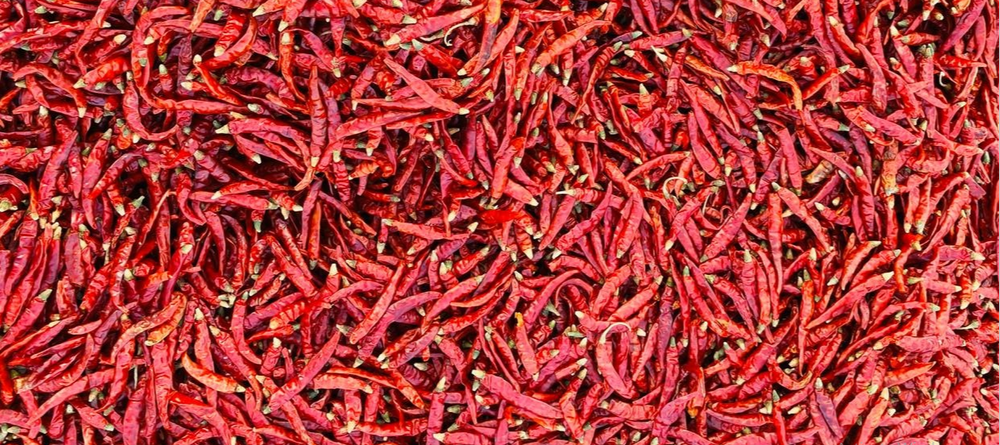 With Stem Byadgi 355 Deluxe Dry Red Chilli