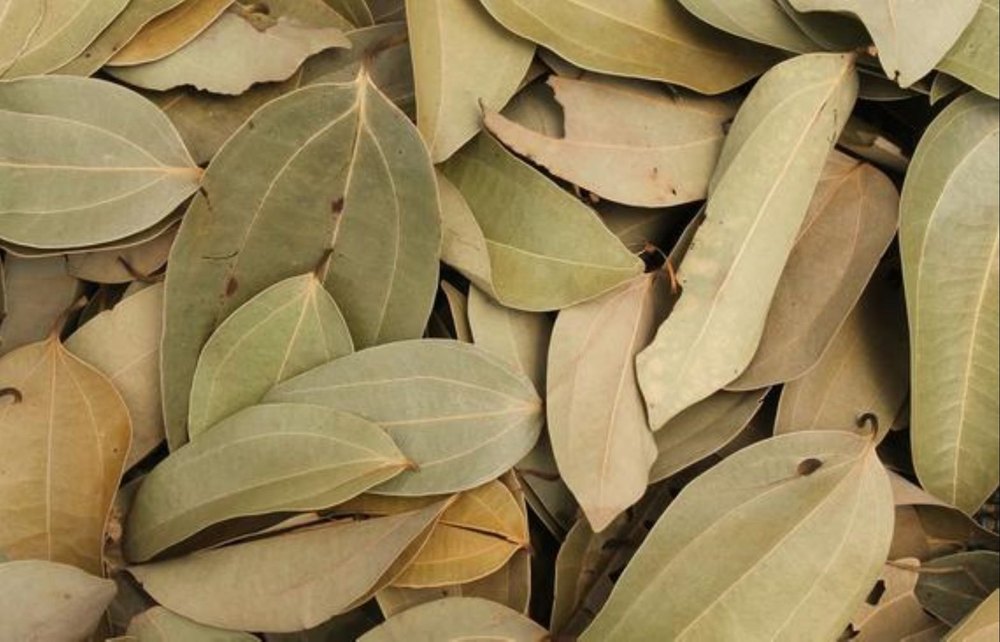 Cassia Leaves, Grade: A Grade, Packaging Size: 10 Kg