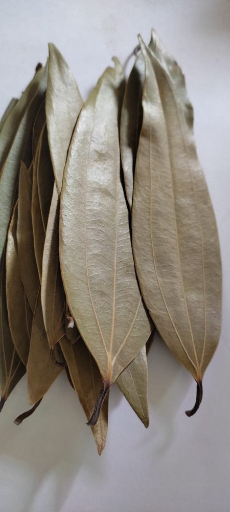 Spicy Dry Bay Leaf, Packaging Type: Loose