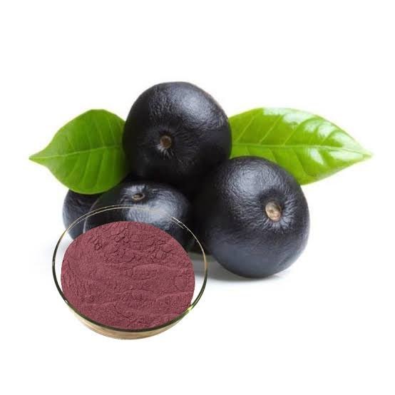 Purple Acai Berry Extract (Euterpe oleracea), Form: Powder, Packaging Type: Loose