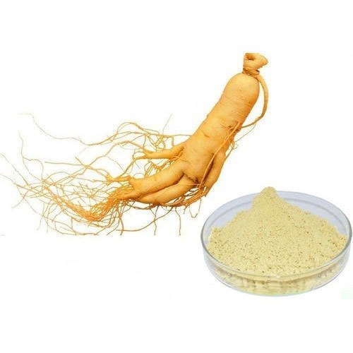 Ginseng Extract HPLC, Packaging Type: Packet