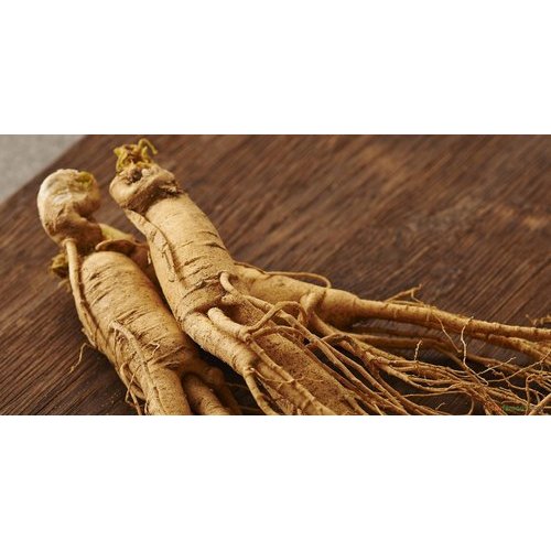 Ginseng Extract, Packaging Type: PP Bag