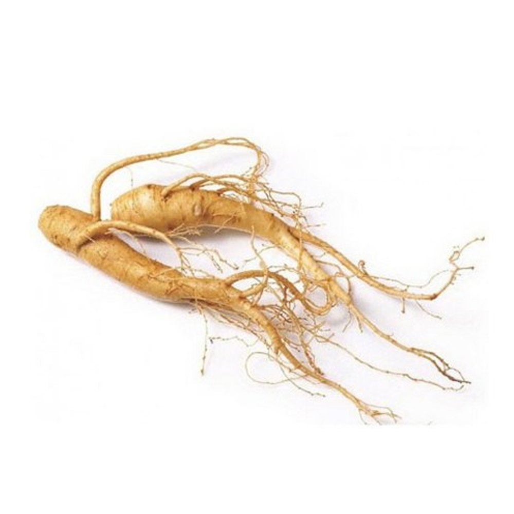 Dry Extract Panax Ginseng