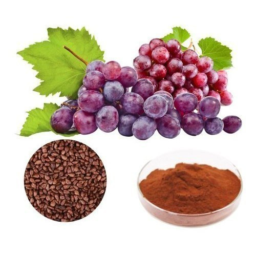 Brown Powder Grape Skin Extract (Resveratrol), Packaging Type: HDPE Drums, Packaging Size: 25 kg