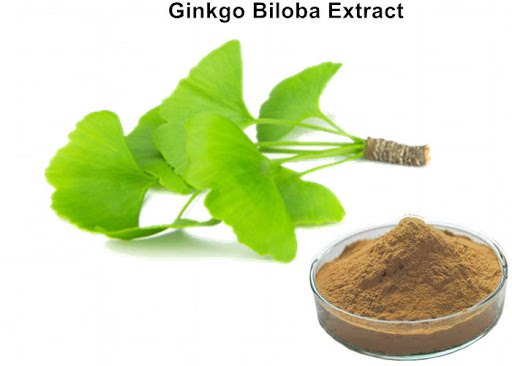 Green Heaven Ginkgo Biloba Extract Powder, Packaging Size: 5 Kgs