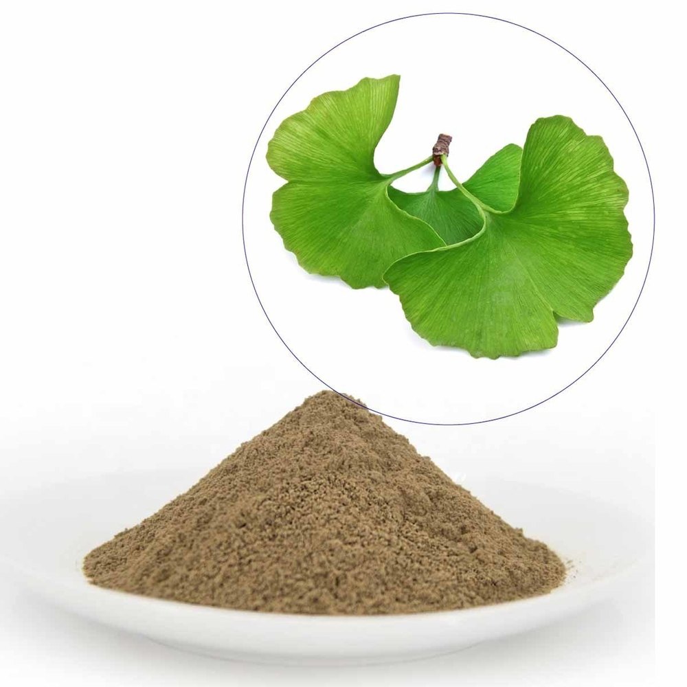 Ginkgo Biloba Extract, Packaging Type: Packet, Packaging Size: 1Kg