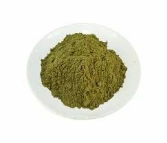 Lavanya Agro Ginkgo Balboa Extract, Pack Size: 5 Kg, Packaging Type: Drum