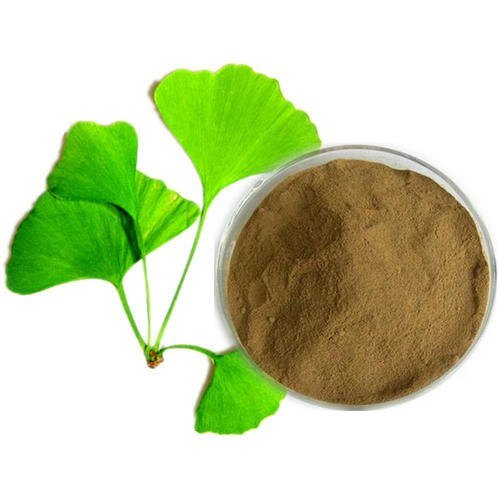 Leaf Ginkgo Biloba Extract, Packaging Type: Drum, Packaging Size: 25 Kgs