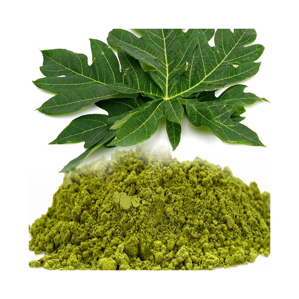 Papaya Leaf Extract Powder, Packaging Type: Packet, Packaging Size: 1Kg