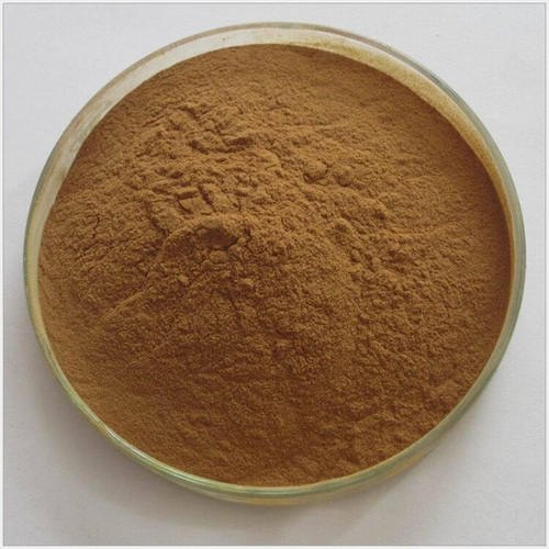 Gymnema Extract 25% Gravimetry, Packaging Type: PP Poly Bag, Packaging Size: 25 Kg