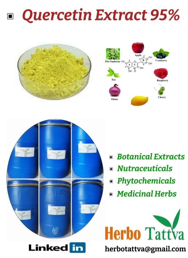 Quercetin Powder 95%