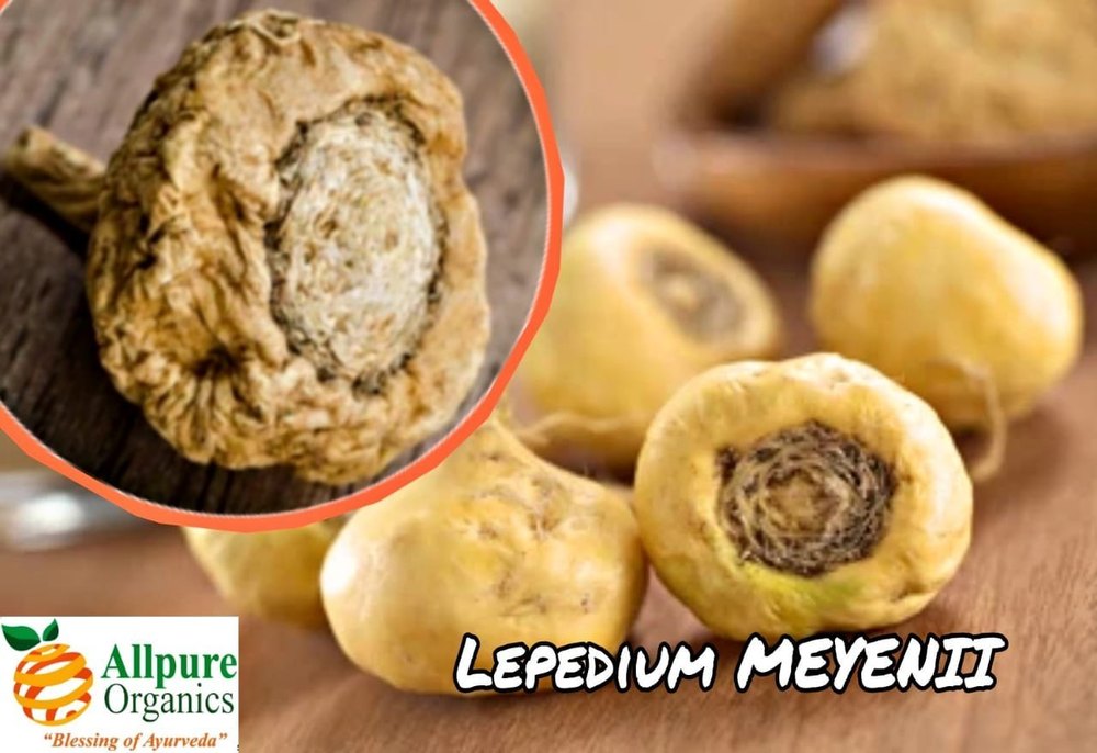 Lepidium Meyenii Extract, Packaging Type: 25 kg hdpe drum