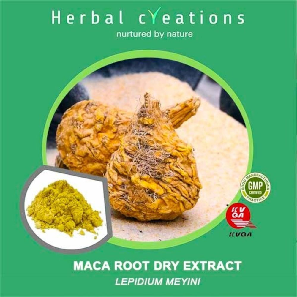 Maca Root Dry Extract