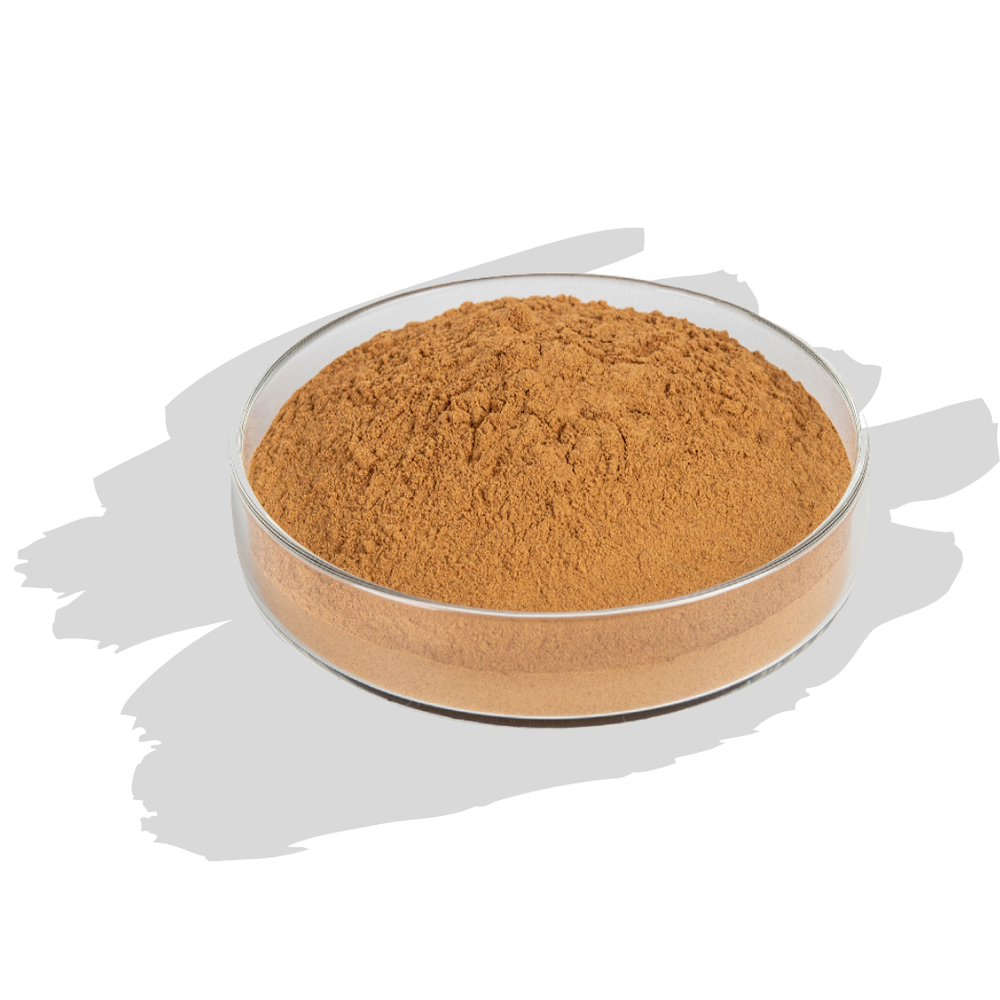 Maca Root Extract, Packaging Type: HDPE Drum, Packaging Size: 1- 25 Kg