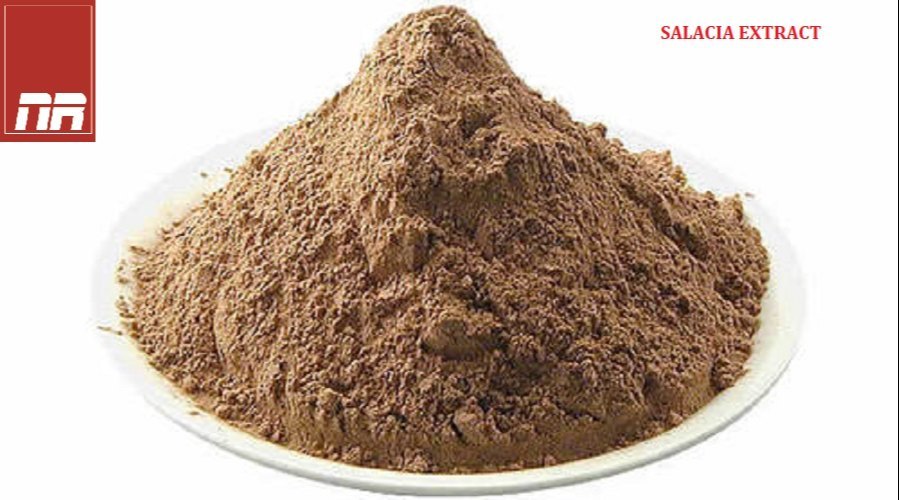 Powder Salacia Extract, Packaging Type: Hdpe Drum, Packaging Size: 25 Kg