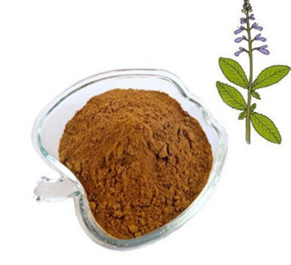 Coleus Forskohlii Extract, Packaging Size: 10 Kg, Packaging Type: HDPE Drum