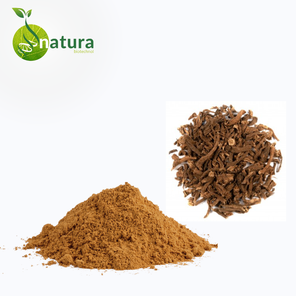 Natura Coleus Extract, Packaging Type: Packet, Packaging Size: 1 Kg